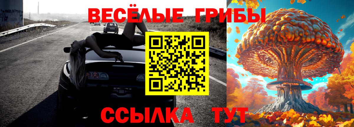 Калининград  Псилоцибиновые грибы Psilocybe  Вход с VPN 